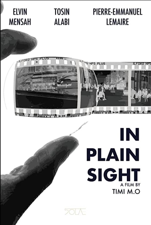 in plain sight poster